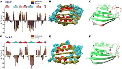 The role of structural dynamics in the thermal adaptation of hyperthermophilic enzymes